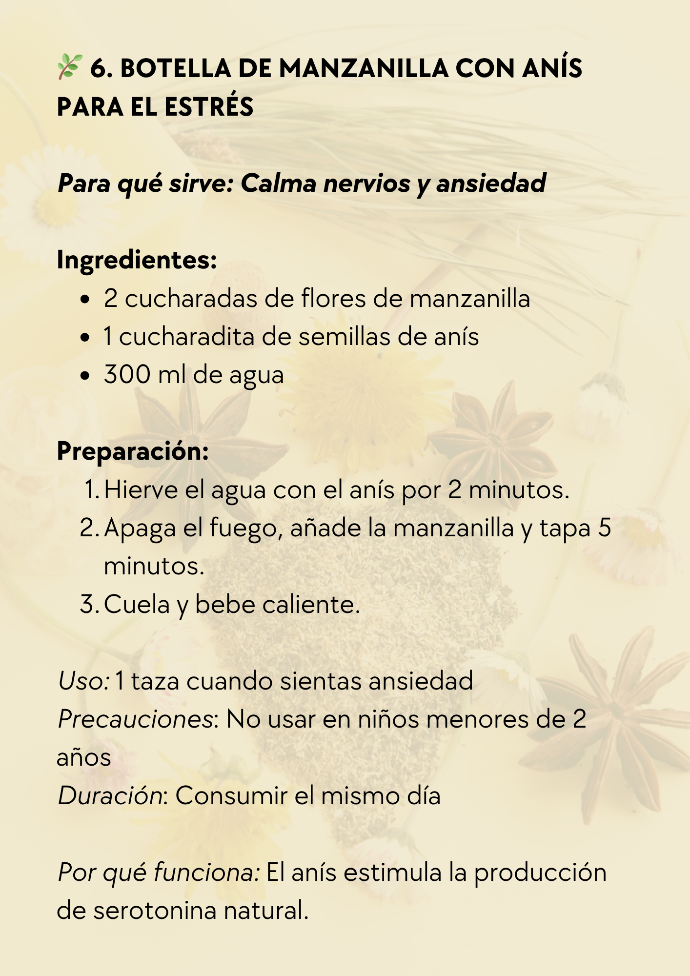 [Imagen de Previa de Receta 2]