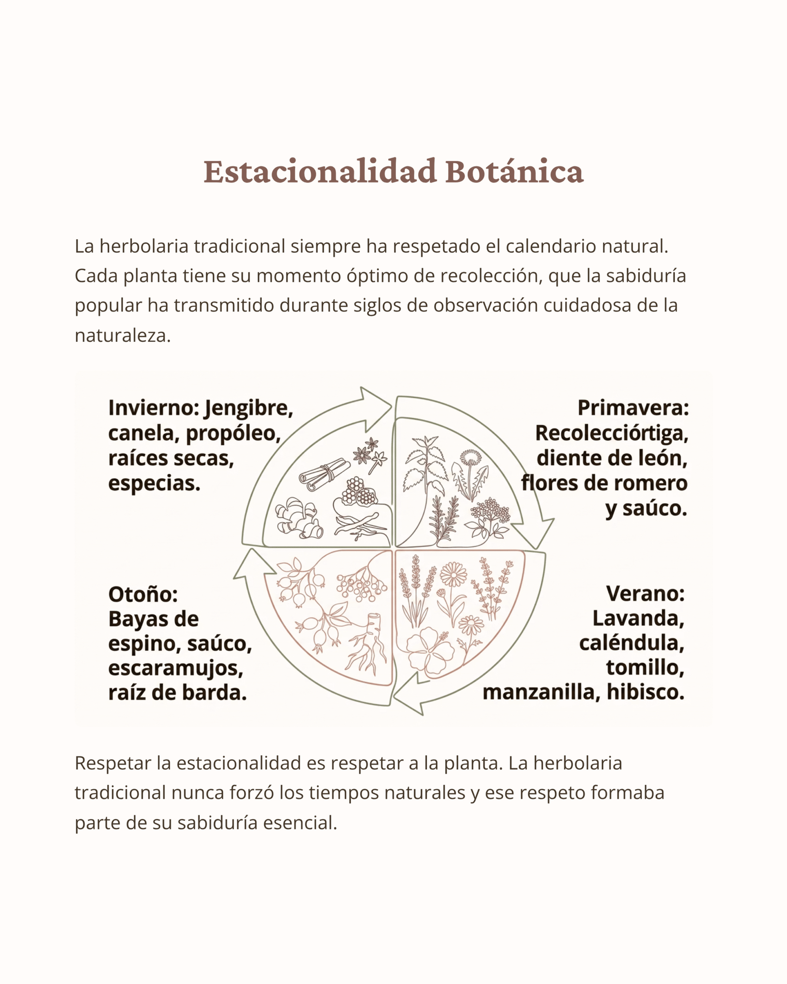 Muestra de guía: Estacionalidad Botánica
